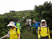 pic_Wai_045.JPG (224205 bytes)