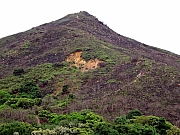 pic_Wai_046.JPG (252212 bytes)