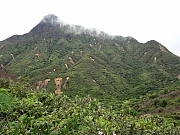 pic_Wai_047.JPG (230412 bytes)