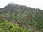 pic_Wai_049.JPG (237507 bytes)