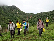 pic_Wai_077.JPG (252733 bytes)