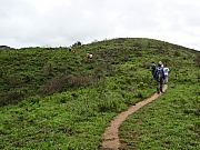 pic_Wai_078.JPG (253395 bytes)