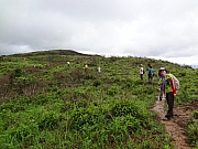 pic_Wai_080.JPG (242850 bytes)