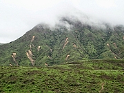 pic_Wai_082.JPG (196483 bytes)