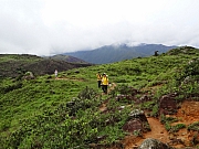 pic_Wai_096.JPG (219139 bytes)
