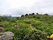 pic_Wai_103.JPG (250378 bytes)