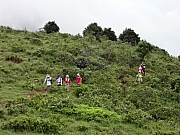 pic_Wai_106.JPG (185574 bytes)
