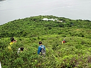pic_Wai_113.JPG (288782 bytes)