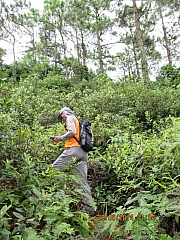 Thumbnail of pic_Eddie_Lui_067.JPG