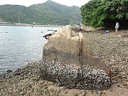 Thumbnail of pic_Billy_032.JPG