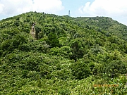 Thumbnail of pic_Wai_101.JPG