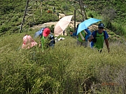 Thumbnail of pic_Thomas_Leung_072.jpg
