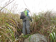 Thumbnail of pic_Amy Fong_038.JPG