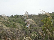 Thumbnail of pic_Billy_Wong_021.JPG