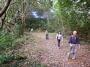 Thumbnail of pic_Wai_040.JPG