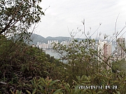 Thumbnail of pic_Thomas_Leung_039.jpg
