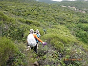 Thumbnail of pic_Wai_051.JPG