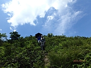 Thumbnail of pic_Thomas_Leung_094.jpg