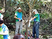 P9130231.JPG (550424 bytes)