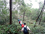 Thumbnail of PB150041.JPG