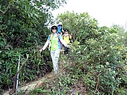 Thumbnail of PB220028.JPG