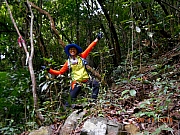 Thumbnail of pic_Sam_Ho_020.jpg