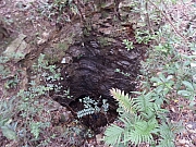 Thumbnail of pic_KC_Leung_141.jpg