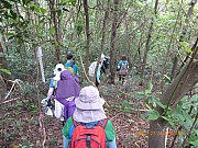 Thumbnail of pic_Wai_154.jpg