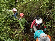 Thumbnail of pic_Sam_Ho_014.jpg