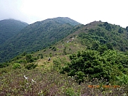 Thumbnail of pic_Wai_133.jpg