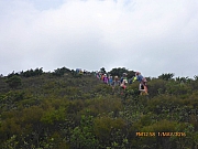 Thumbnail of pic_Wai_140.jpg