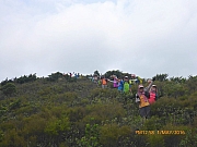 Thumbnail of pic_Wai_141.jpg
