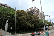 Thumbnail of pic_KL_Sin_061.jpg