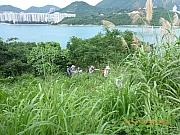 Thumbnail of pic_Wai_018.jpg