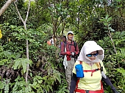Thumbnail of pic_CL_Yip_048.jpg