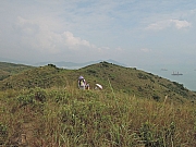 Thumbnail of pic_Amy_Fong_207.JPG