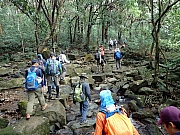 Thumbnail of PB270018.JPG