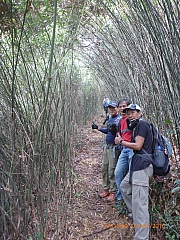 Thumbnail of pic_Wai_035.jpg