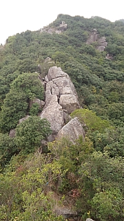 Thumbnail of pic_KC_Leung_035.jpg