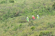 Thumbnail of pic_KL_Sin_027.jpg