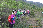 Thumbnail of pic_Apple_Lee_061.jpg
