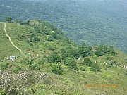 Thumbnail of pic_Wai_009.jpg