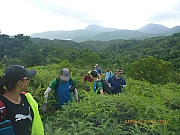 Thumbnail of pic_Wai_017.jpg