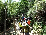 Thumbnail of pic_Thomas_Leung_052.jpg