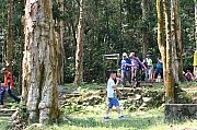 Thumbnail of pic_KL_Sin_106.JPG