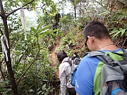 Thumbnail of pic_Thomas_Leung_018.jpg