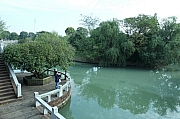 Thumbnail of pic_Grassy_Yuen_009.JPG