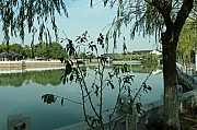 Thumbnail of pic_Grassy_Yuen_029.JPG