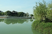 Thumbnail of pic_Grassy_Yuen_049.JPG