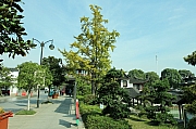 Thumbnail of pic_Grassy_Yuen_066.JPG